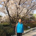 梨洼