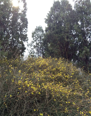 未标题-1.jpg